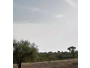 undefined - 2 undefined - 2