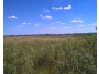 undefined - 2 undefined - 2