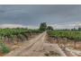 undefined - 1 undefined - 1
