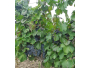 undefined - 3 undefined - 3