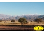 undefined - 2 undefined - 2