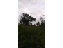 undefined - 5 undefined - 5