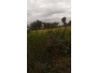 undefined - 1 undefined - 1