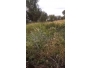 undefined - 4 undefined - 4