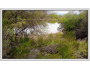 undefined undefined
