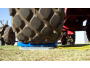 undefined - 4 undefined - 4