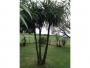undefined - 2 undefined - 2