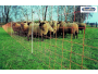 undefined - 4 undefined - 4