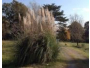 undefined - 4 undefined - 4