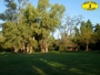 undefined - 5 undefined - 5