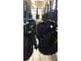 undefined - 4 undefined - 4