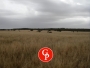 undefined - 4 undefined - 4