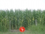 undefined - 2 undefined - 2