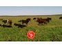 undefined - 2 undefined - 2