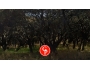 undefined - 3 undefined - 3