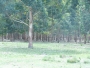 undefined - 2 undefined - 2