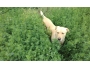 undefined - 1 undefined - 1