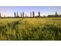undefined - 2 undefined - 2