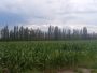 undefined - 3 undefined - 3