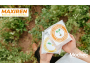undefined - 1 undefined - 1