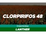 undefined undefined