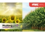 undefined undefined