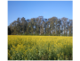 undefined - 3 undefined - 3