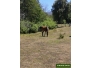 undefined - 4 undefined - 4