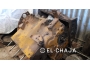 undefined - 4 undefined - 4