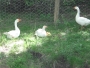 undefined - 3 undefined - 3