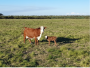 undefined - 4 undefined - 4