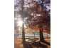 undefined - 5 undefined - 5