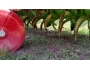 undefined - 1 undefined - 1