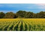 undefined - 2 undefined - 2