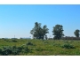undefined - 3 undefined - 3