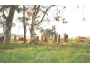 undefined - 2 undefined - 2