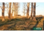 undefined - 2 undefined - 2