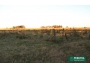 undefined - 1 undefined - 1