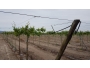 undefined - 3 undefined - 3