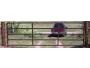 undefined - 2 undefined - 2