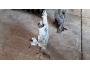 undefined - 4 undefined - 4