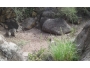 undefined - 3 undefined - 3
