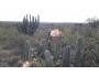 undefined - 4 undefined - 4