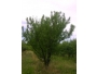 undefined - 1 undefined - 1