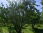 undefined - 2 undefined - 2