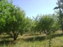 undefined - 3 undefined - 3