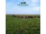 undefined - 1 undefined - 1