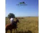 undefined - 3 undefined - 3