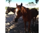 undefined - 5 undefined - 5
