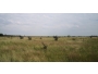 undefined - 1 undefined - 1